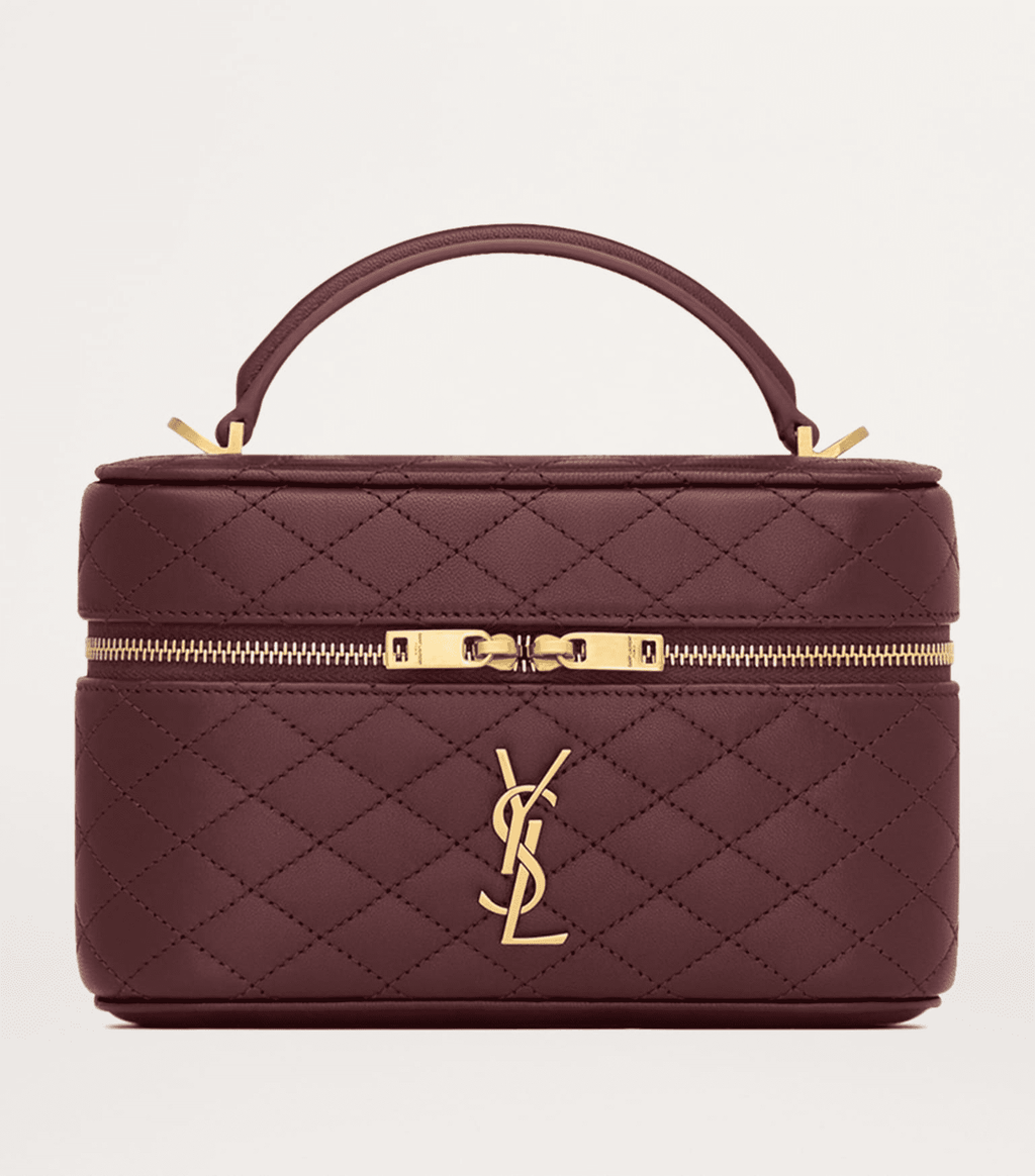 Saint Laurent gaby vanity bag in lambskin