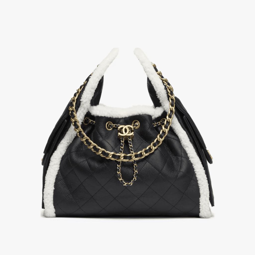 CHANEL 25 Small Handbag