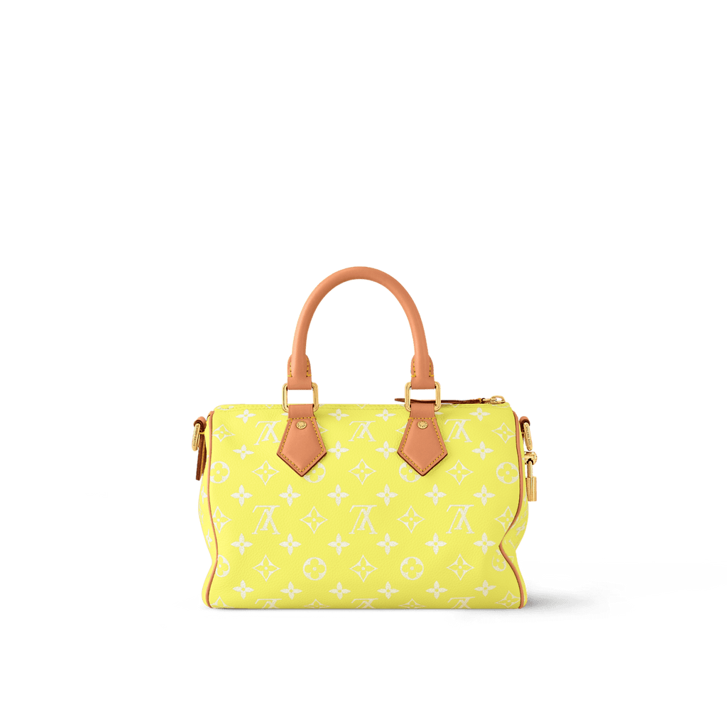 Louis Vuitton SPEEDY P9 BANDOULIÈRE 25 BAG
