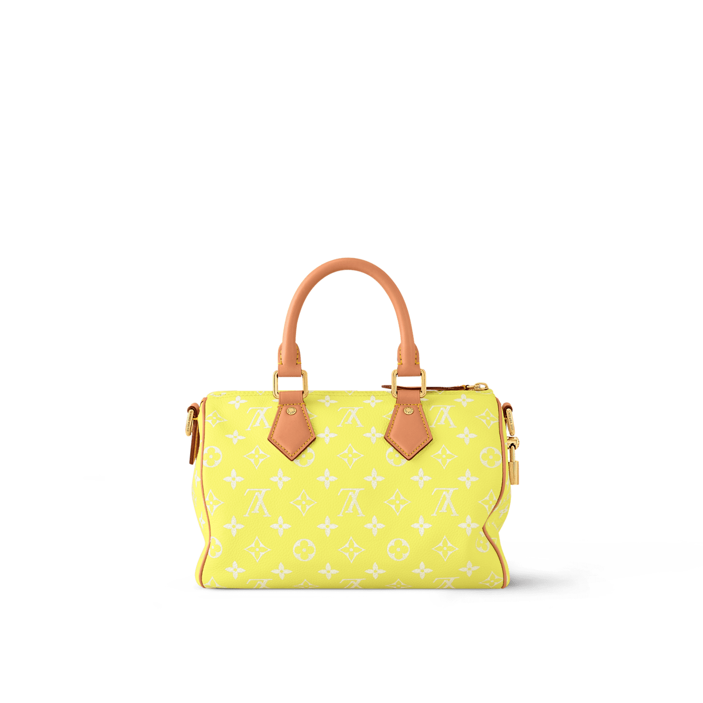 Louis Vuitton SPEEDY P9 BANDOULIÈRE 25 BAG