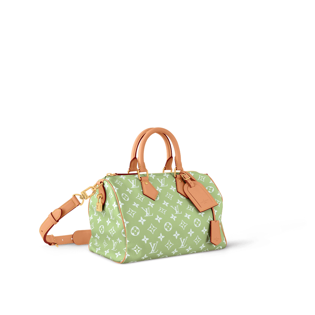 Louis Vuitton M14064 SPEEDY P9 BANDOULIÈRE 30 BAG (top quality)