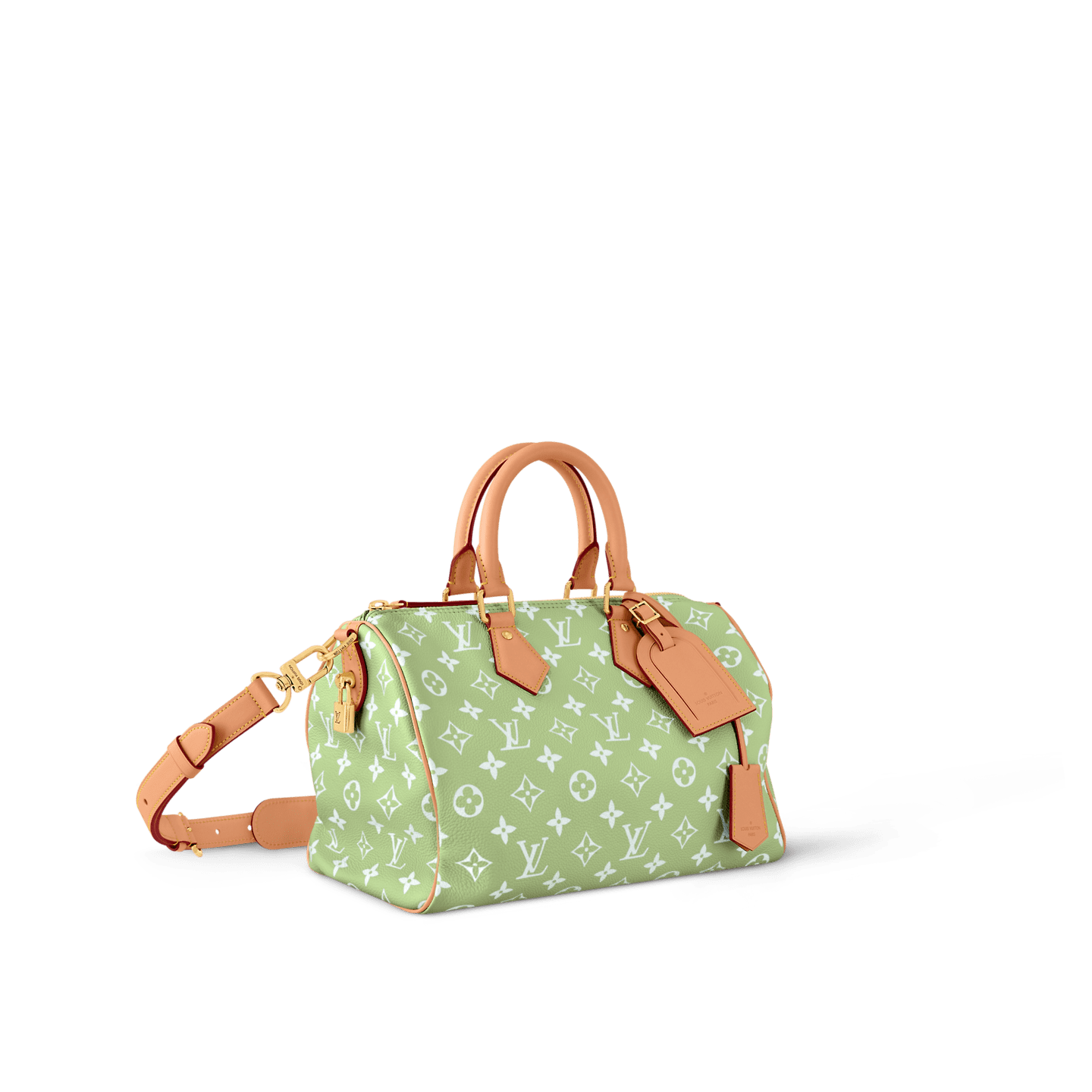 Louis Vuitton M14064 SPEEDY P9 BANDOULIÈRE 30 BAG (top quality)