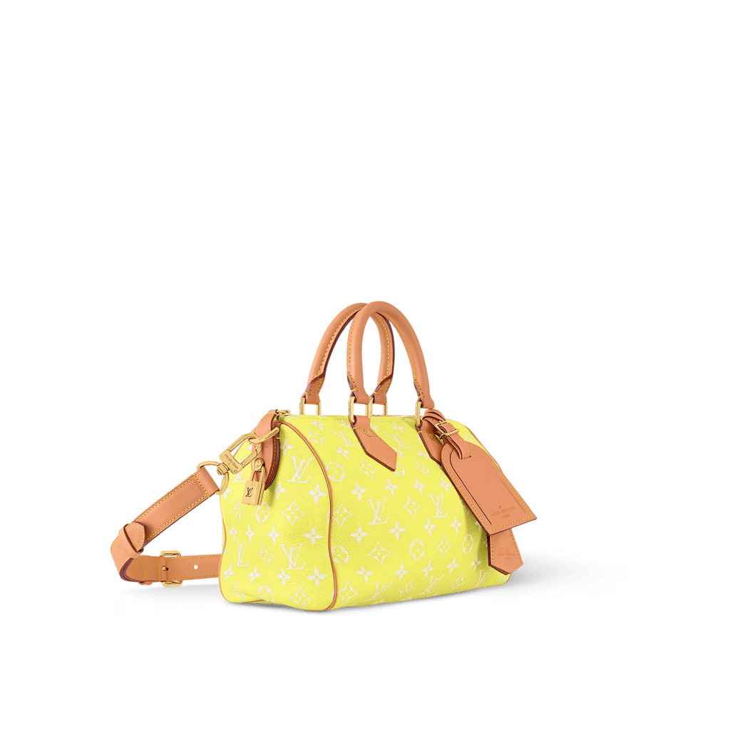 Louis Vuitton SPEEDY P9 BANDOULIÈRE 25 BAG