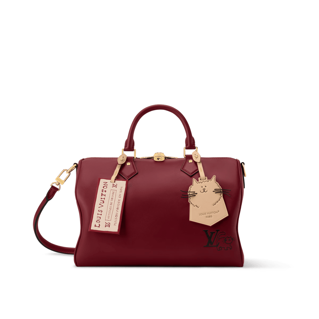 Louis Vuitton M25766 Speedy Soft 30