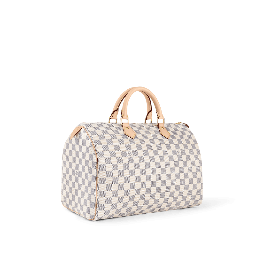 Louis Vuitton N41369 Speedy 35