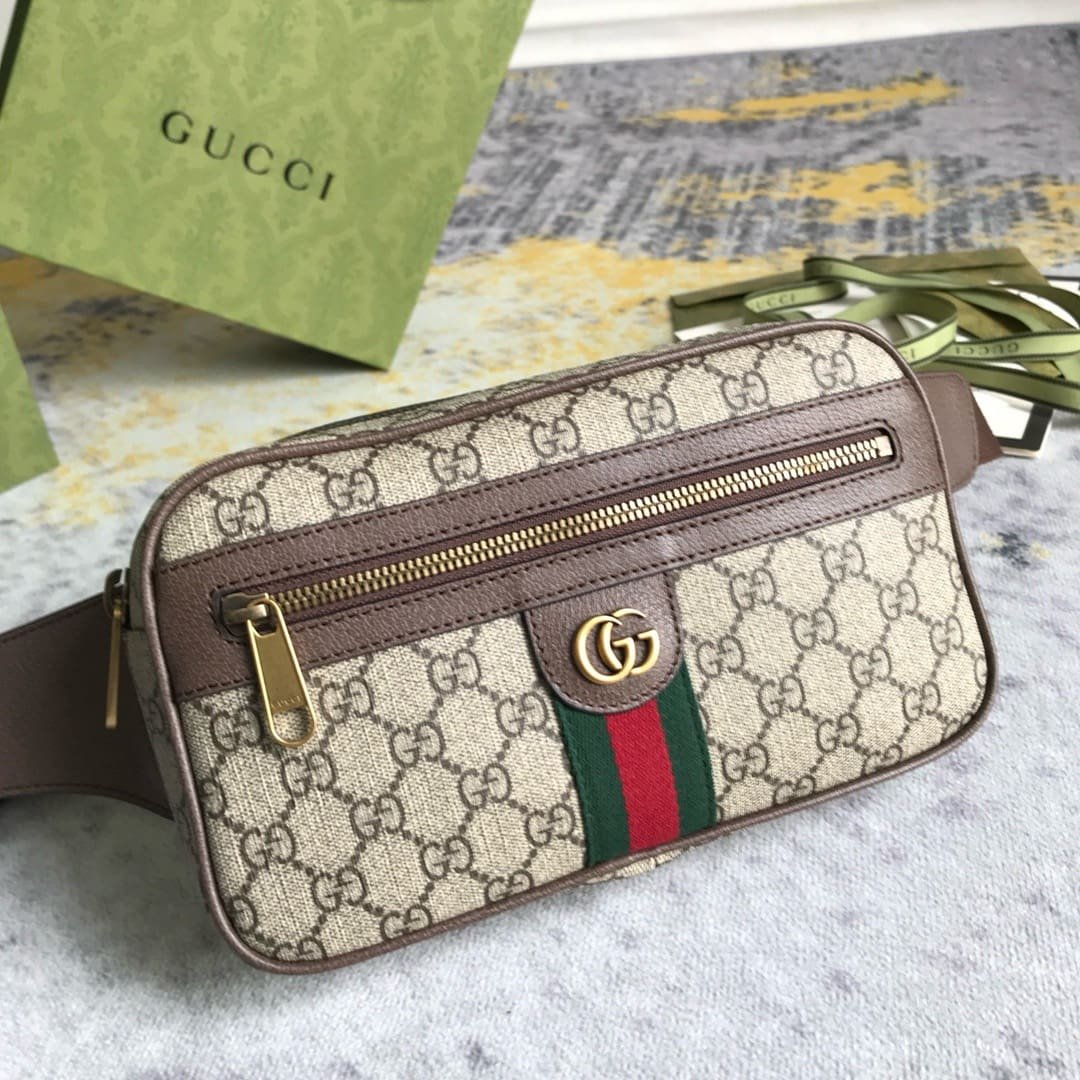 GUCCI Ophidia GG belt bag