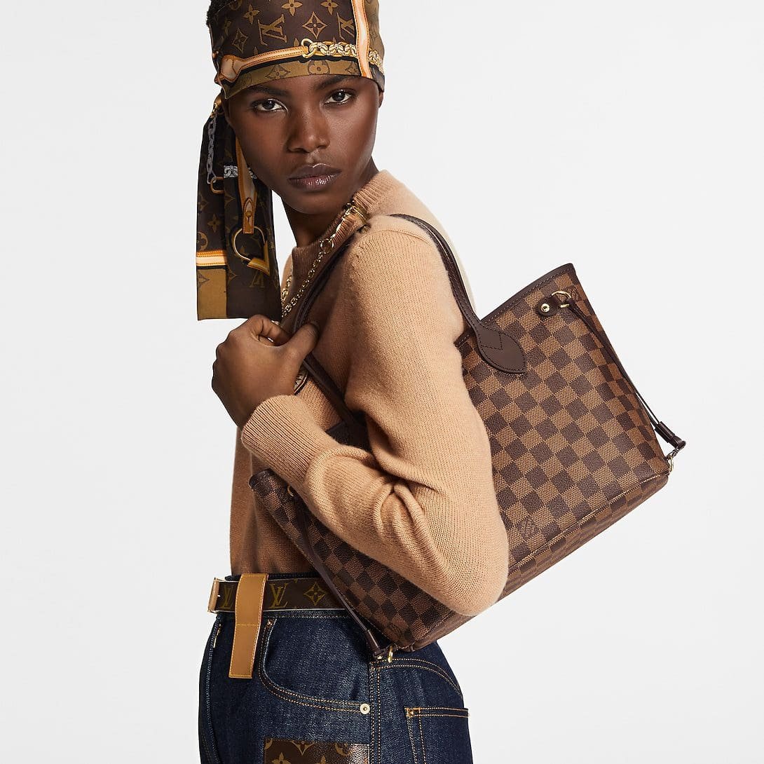 Louis Vuitton N40600 Neverfull PM