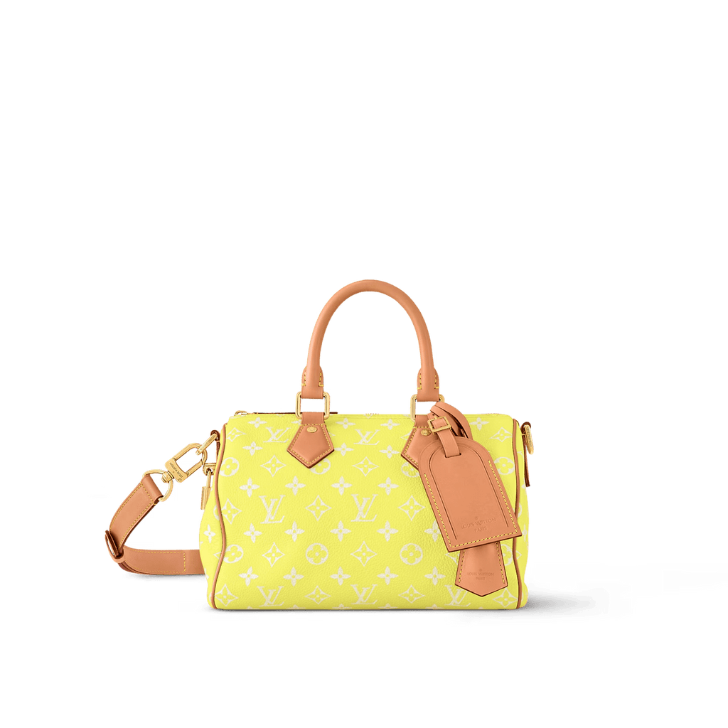 Louis Vuitton SPEEDY P9 BANDOULIÈRE 25 BAG