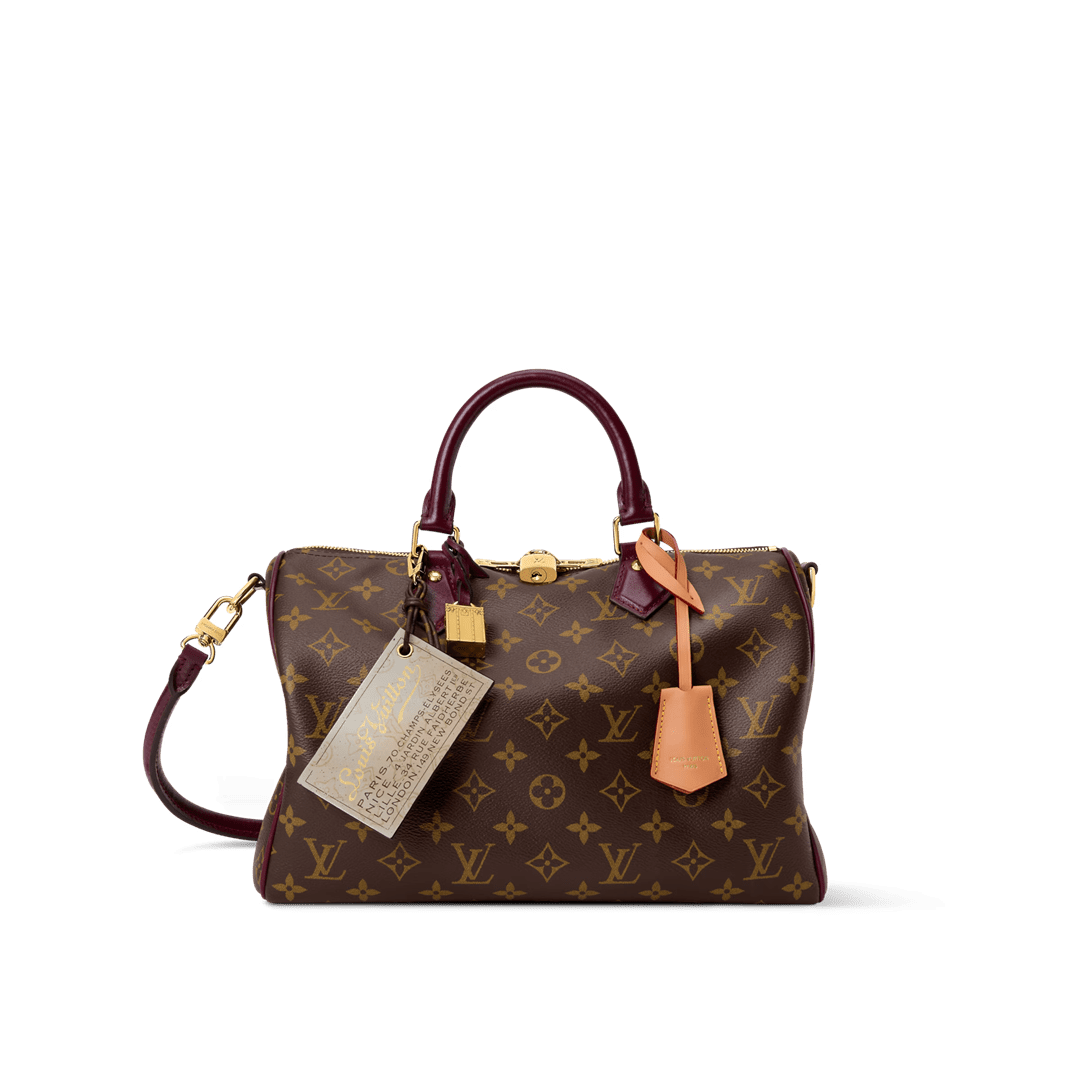 Louis Vuitton M28379 Speedy 30 Soft Celebration