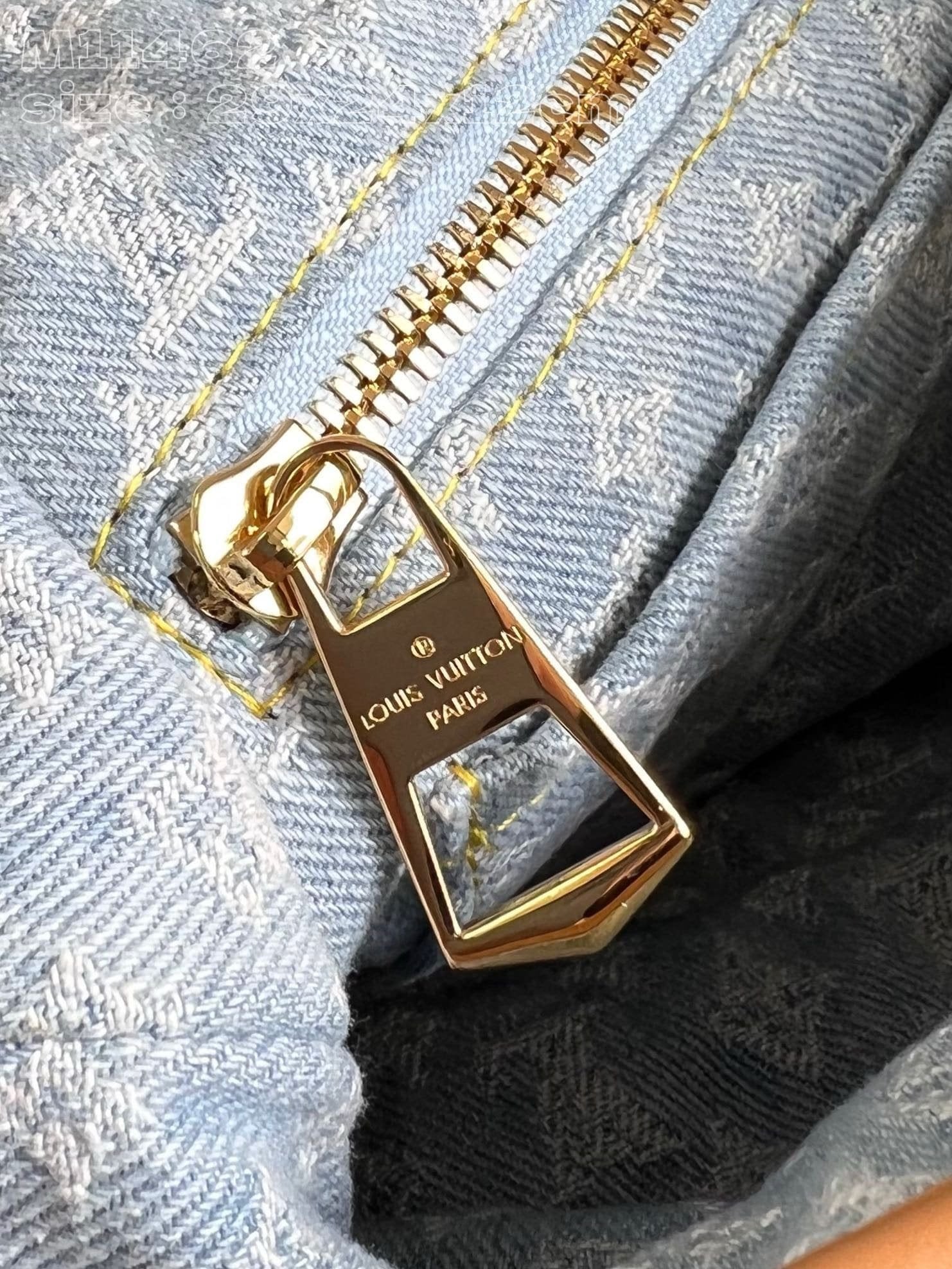 Louis Vuitton M11462 CarryAll PM