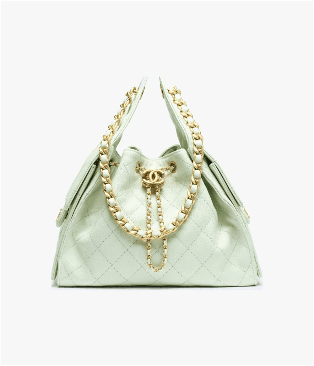 CHANEL 25 Small Handbag