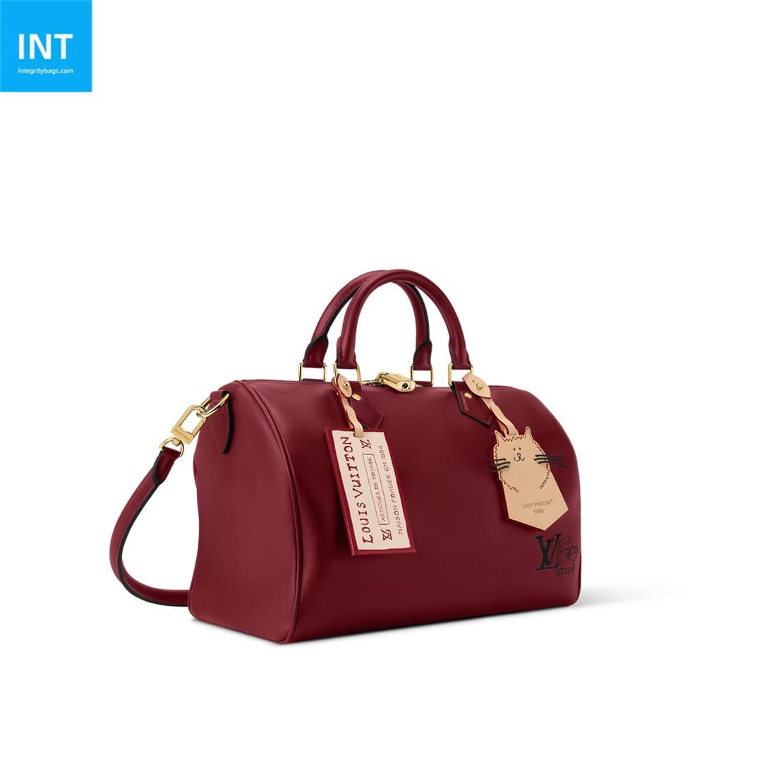 Louis Vuitton M25766 Speedy Soft 30