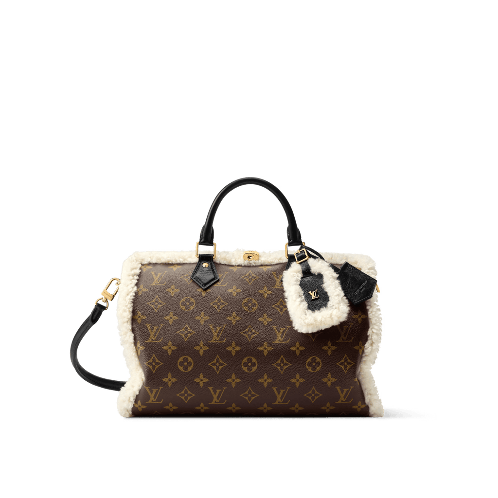 Louis Vuitton M26326 SPEEDY SOFT 30 TEDDY
