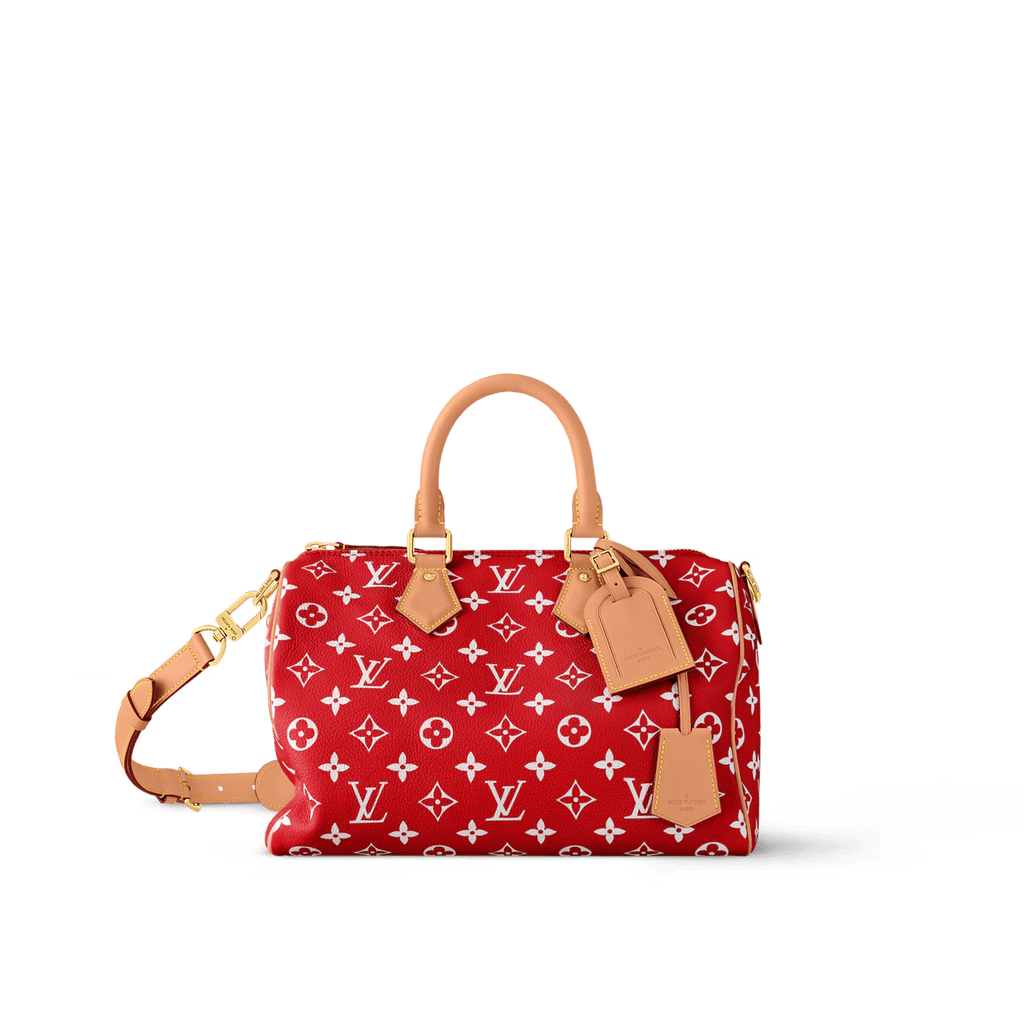Louis Vuitton M14067 Speedy P9 Bandoulière 30 (top quality)