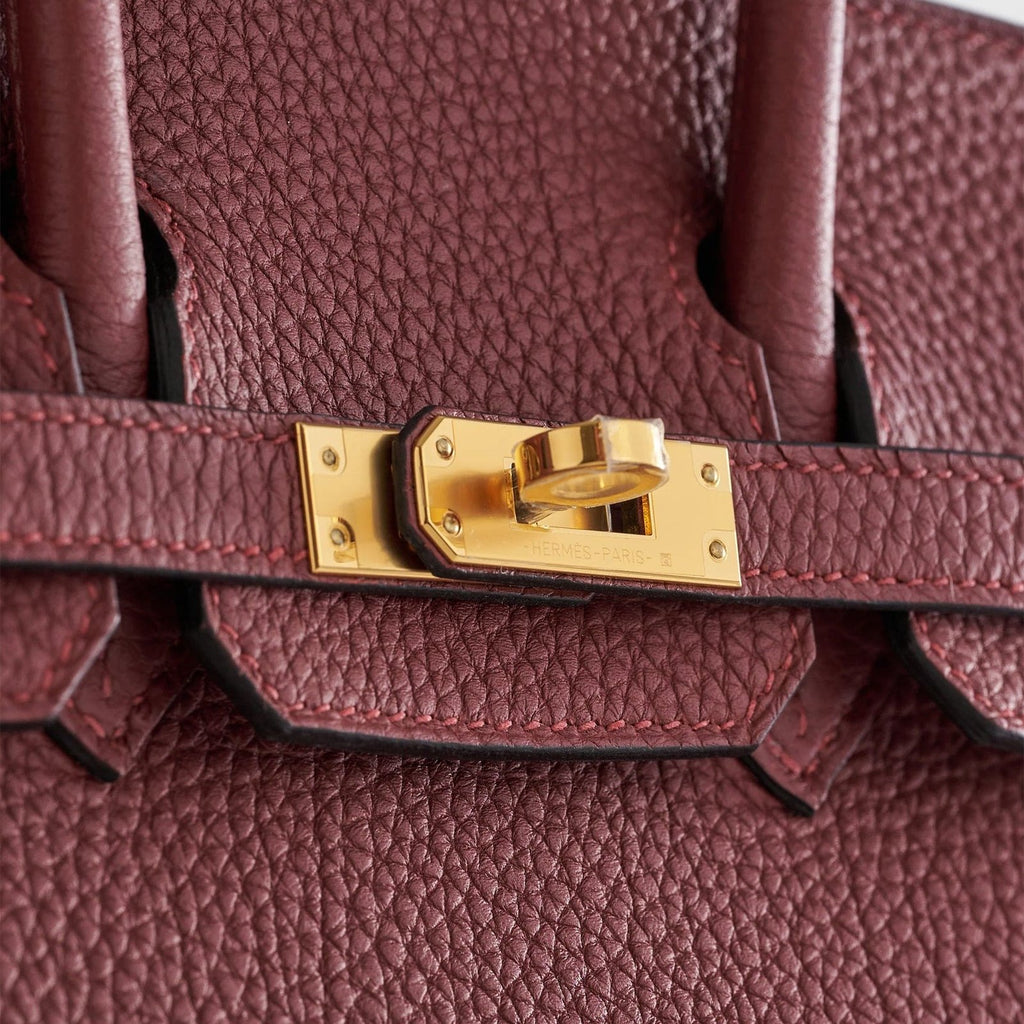Hermès Birkin 25 Togo Rouge Sellier Retourne Gold Hardware