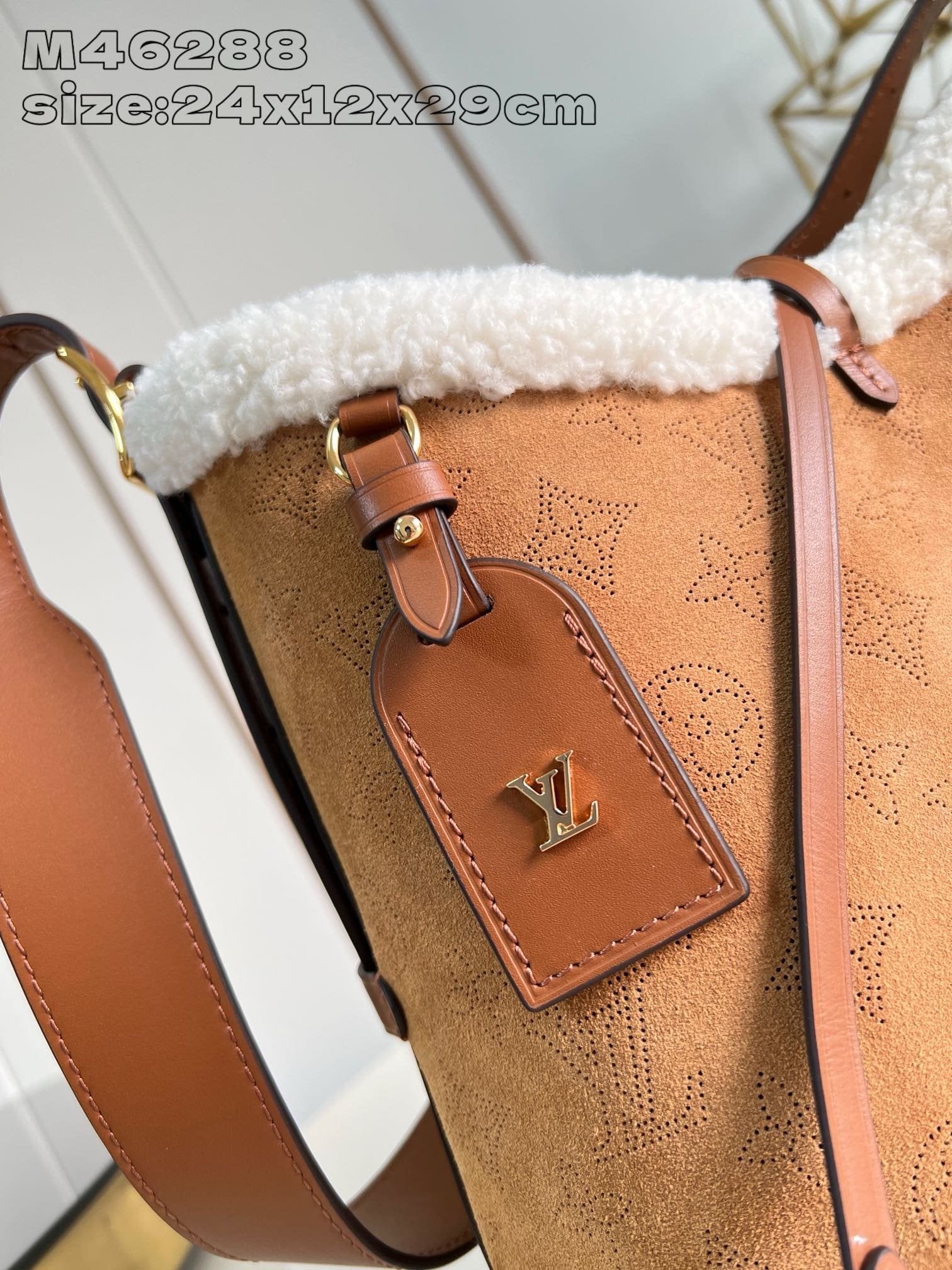 Louis Vuitton M11843 CarryAll PM