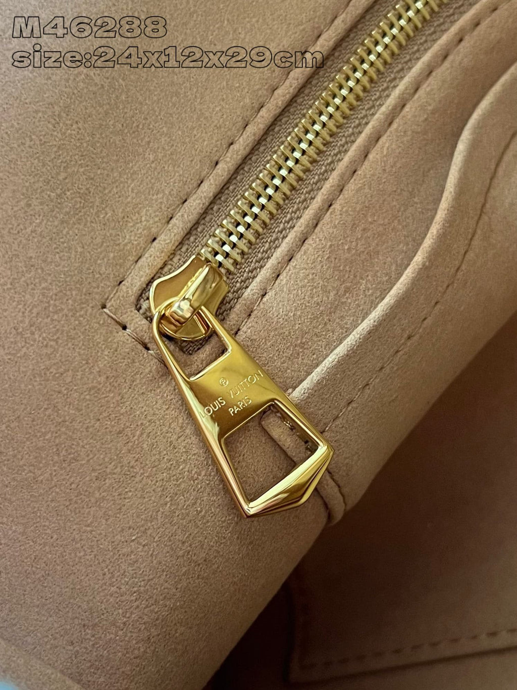 Louis Vuitton M11843 CarryAll PM