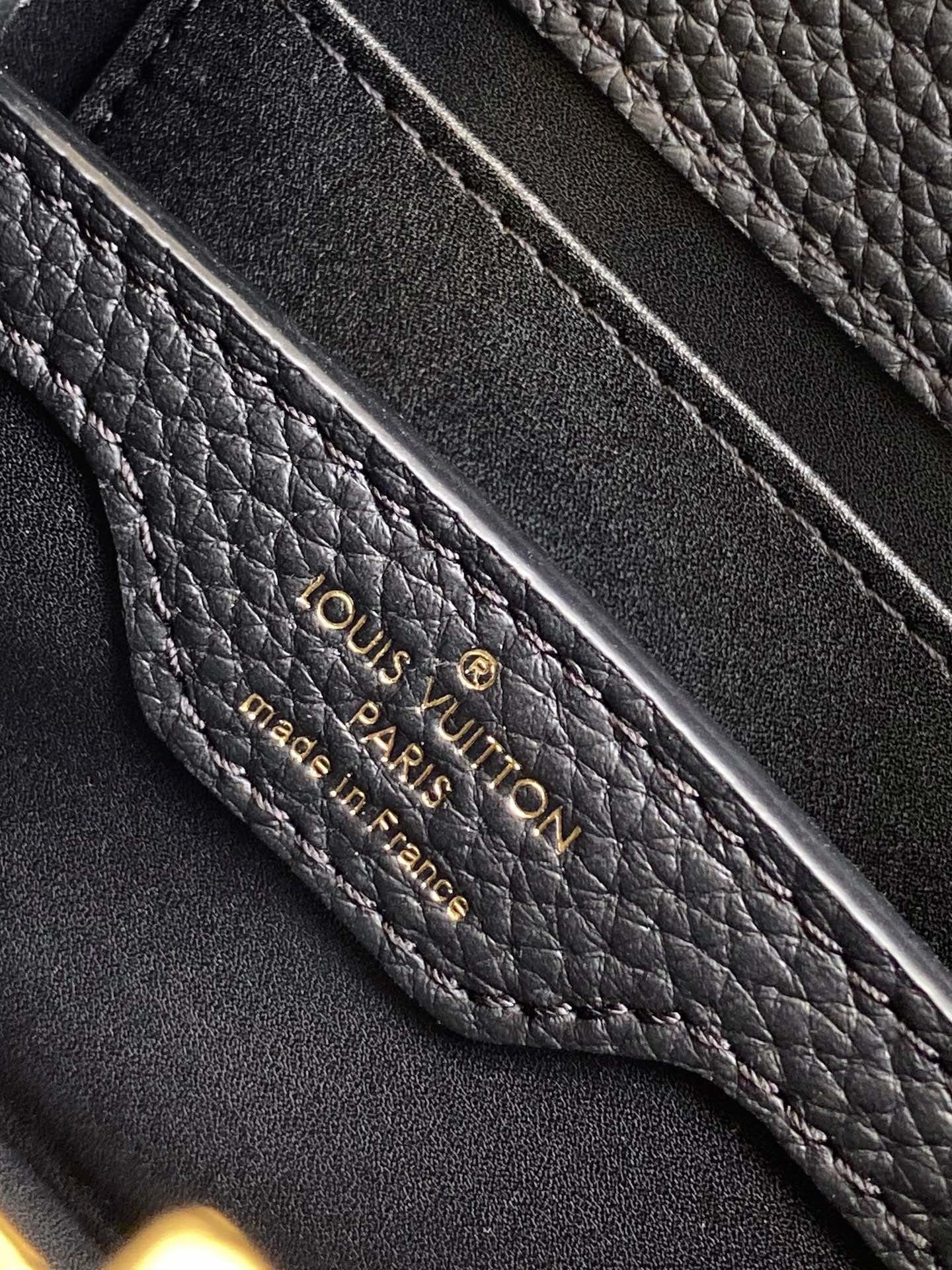 Louis Vuitton M10166 Capucines Nano