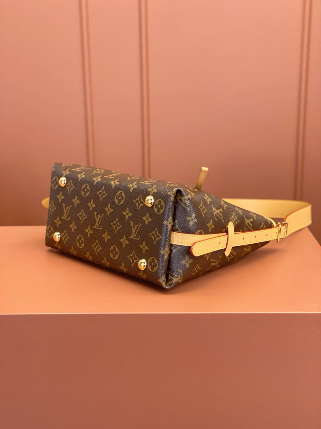 Louis Vuitton M46203 CarryAll PM