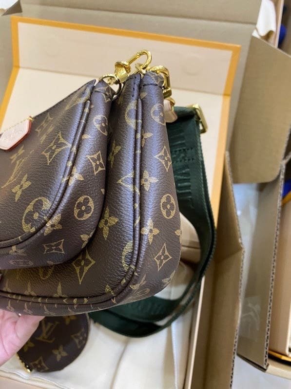 Louis Vuitton Multi Pochette Accessoires M44813