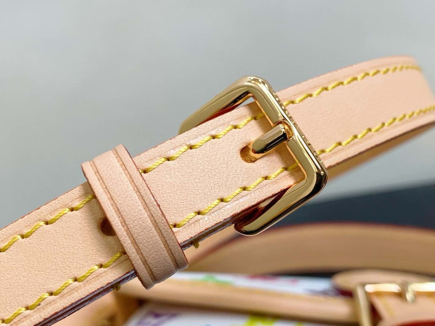Louis Vuitton M14194 LV x TM NANO DIANE BAG