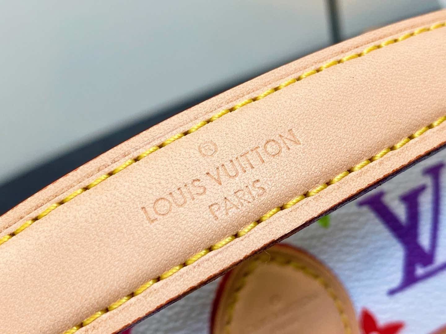 Louis Vuitton M14194 LV x TM NANO DIANE BAG