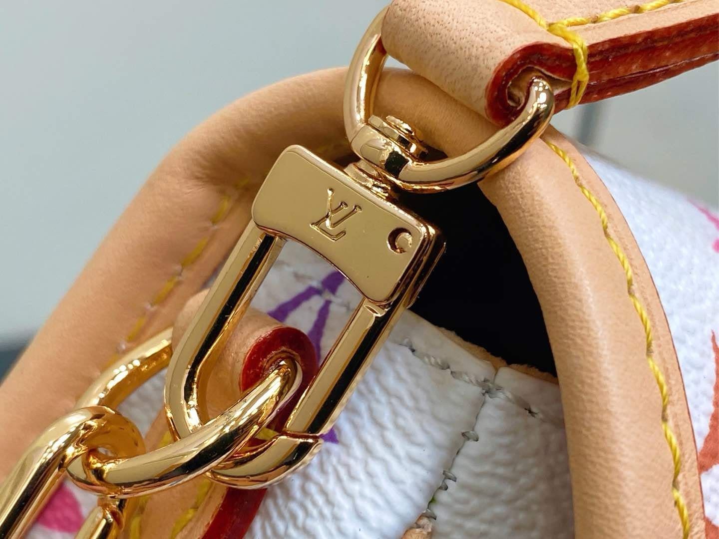Louis Vuitton M14194 LV x TM NANO DIANE BAG