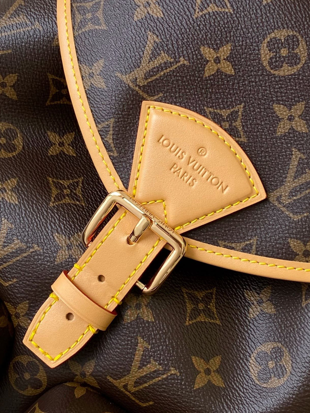 Louis Vuitton M14015 Montsouris Cargo Backpack