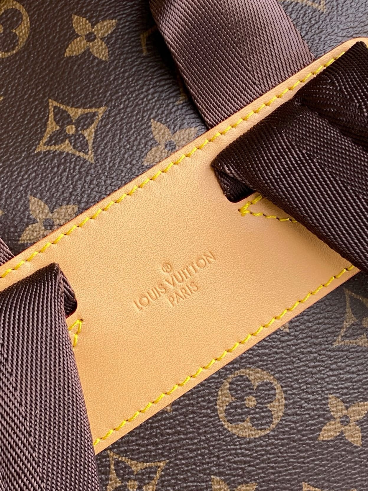 Louis Vuitton M14015 Montsouris Cargo Backpack