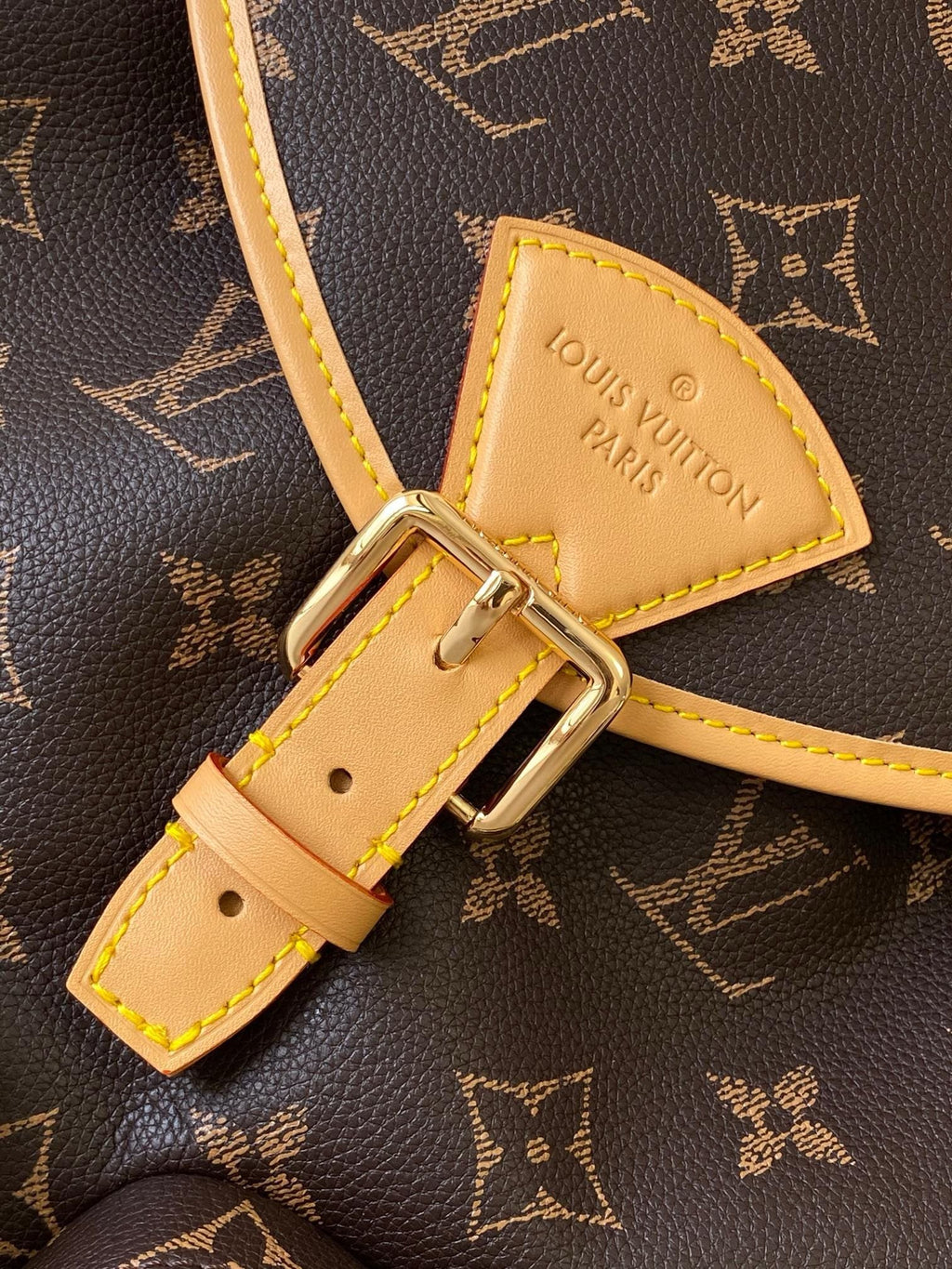 Louis Vuitton M14198 Montsouris Cargo Backpack