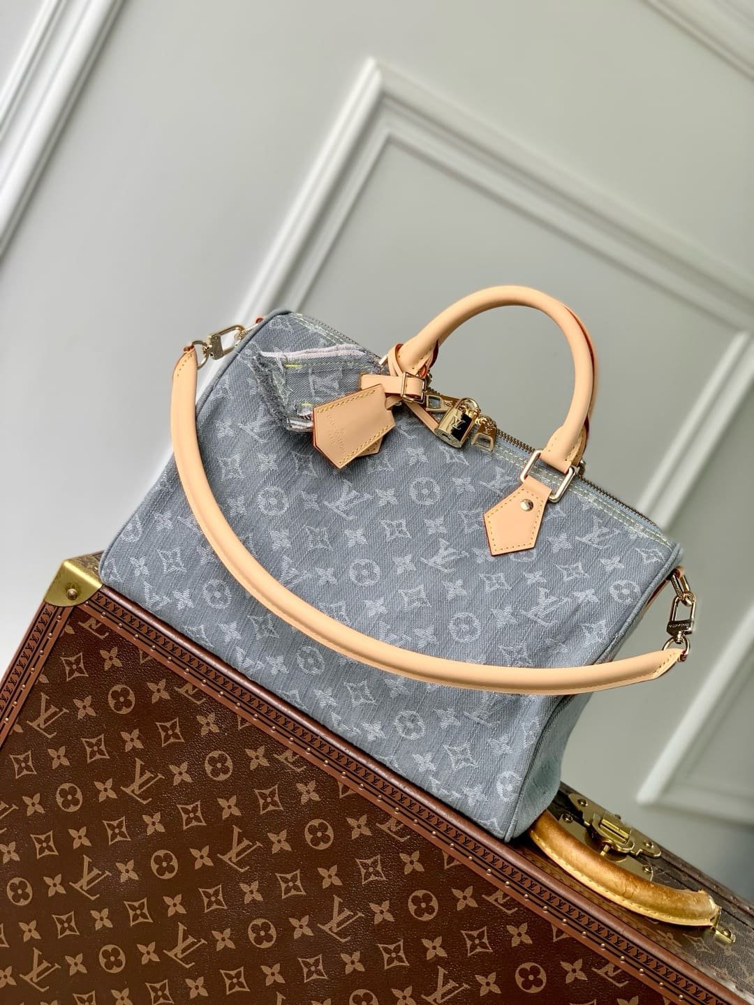 Louis Vuitton M13344 Speedy Soft 30