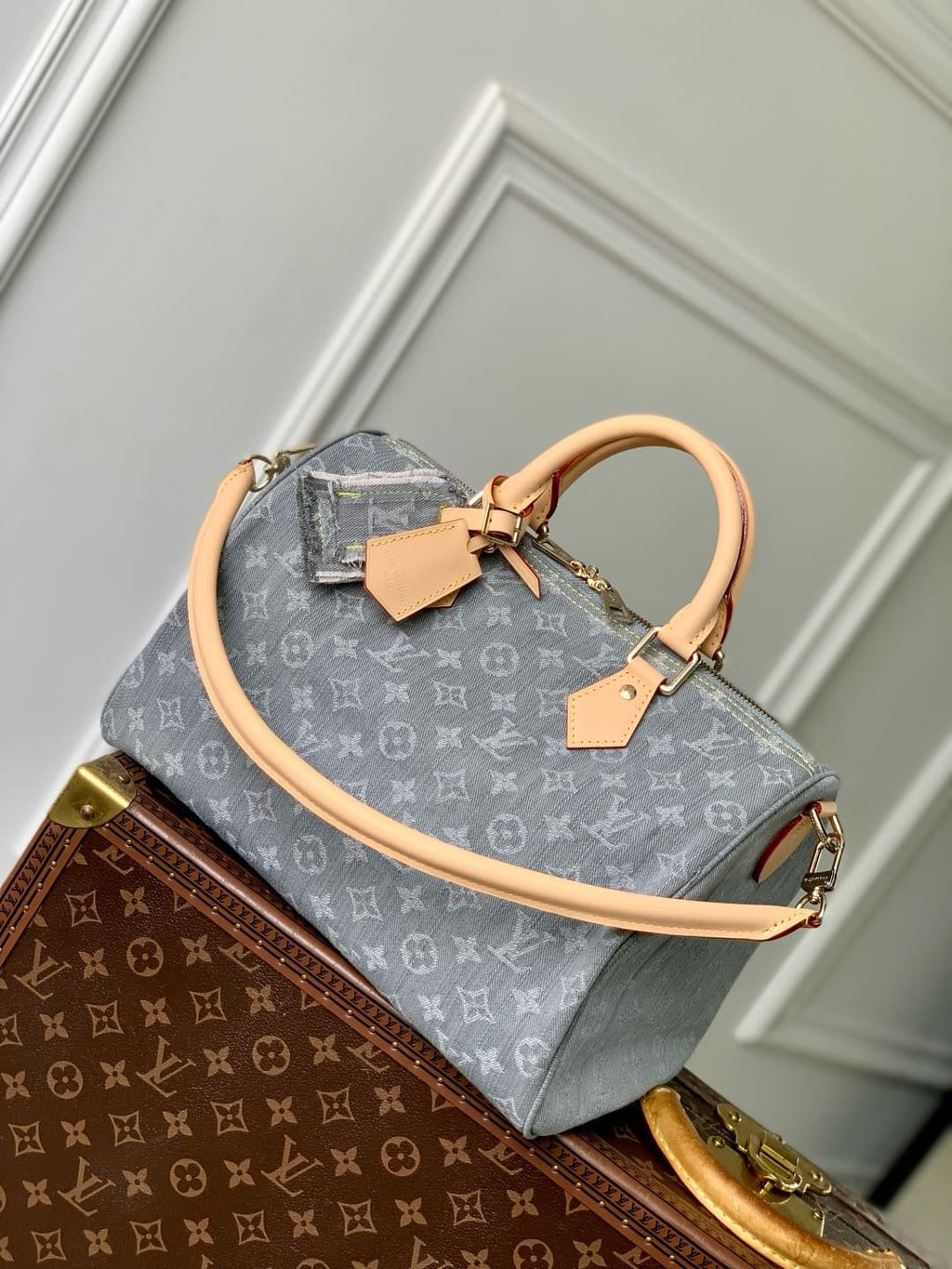 Louis Vuitton M13344 Speedy Soft 30