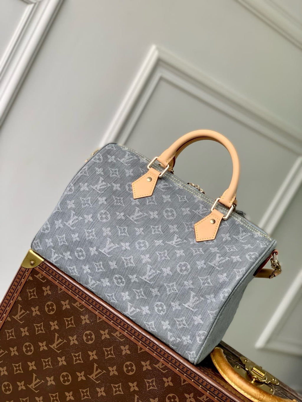 Louis Vuitton M13344 Speedy Soft 30