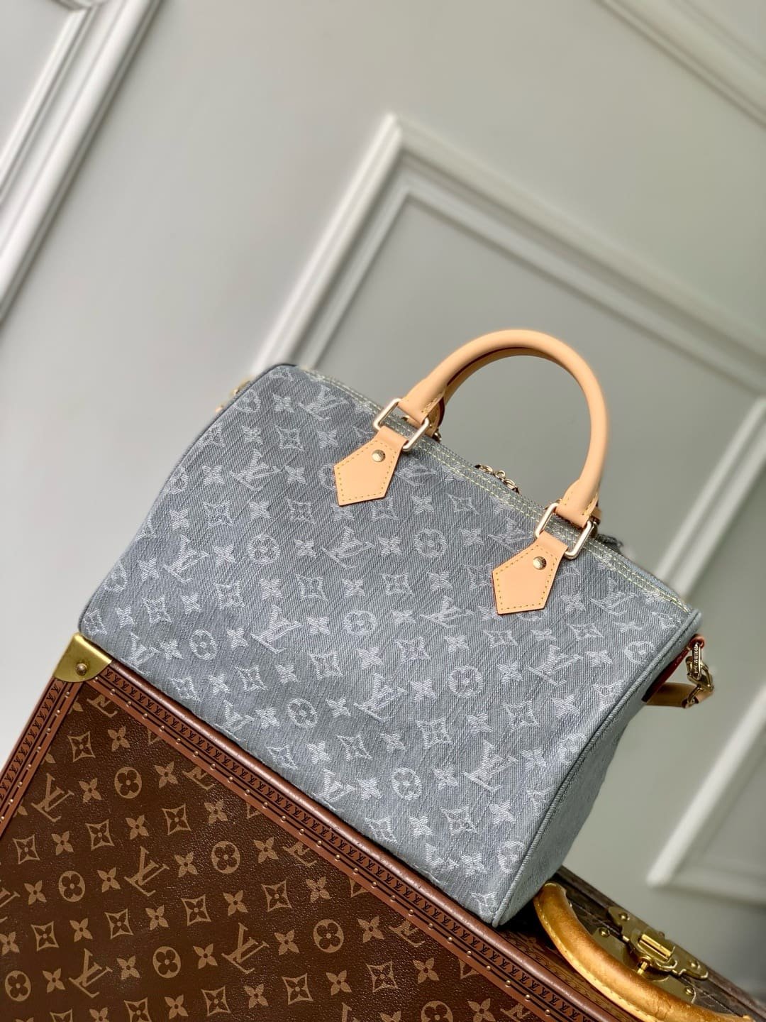 Louis Vuitton M13344 Speedy Soft 30