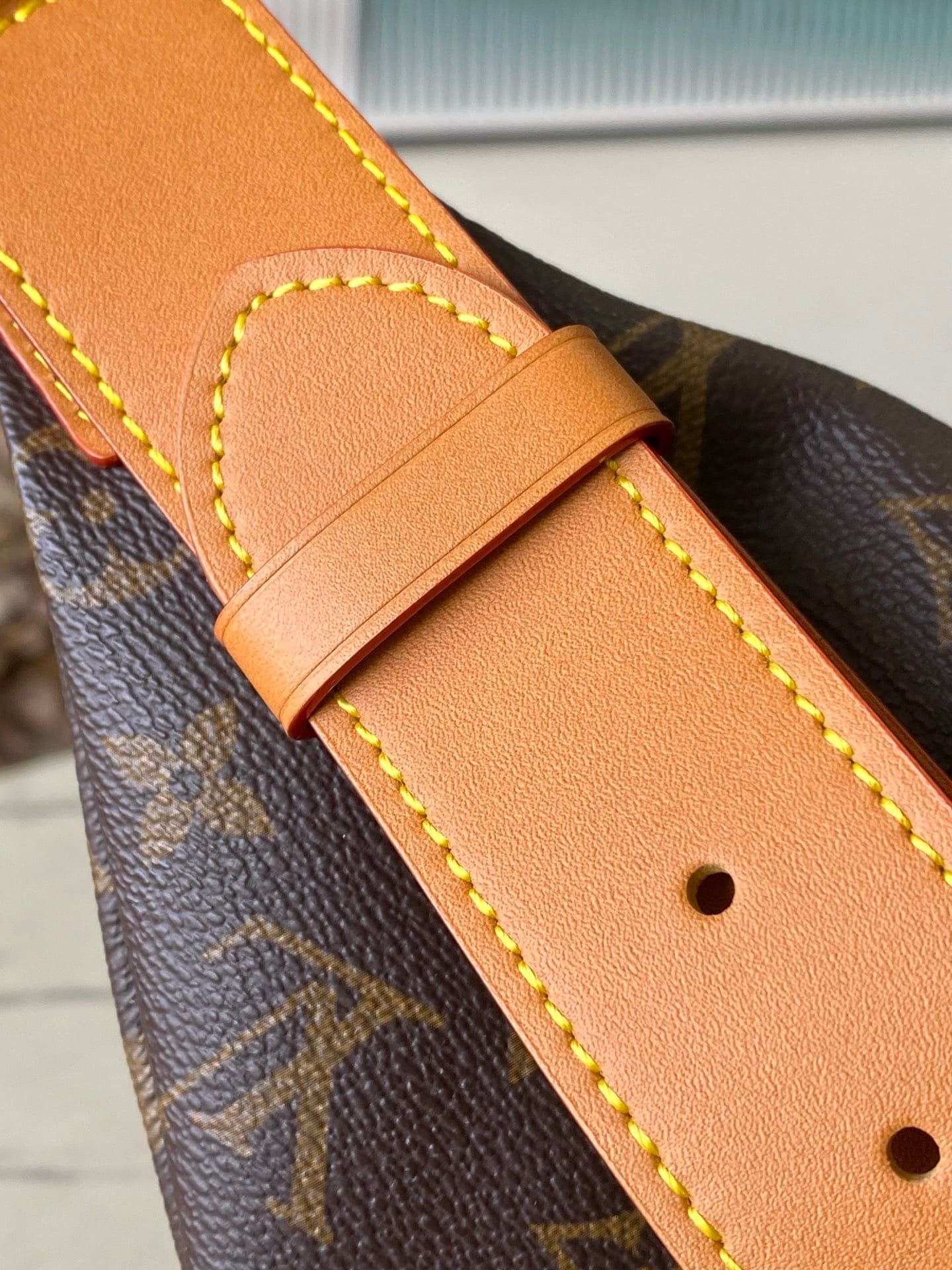 Louis Vuitton M14019 Rush Bumbag