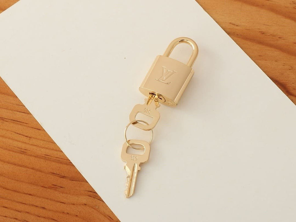 Louis Vuitton Speedy Bandouliere 25 N40575 (top quality)