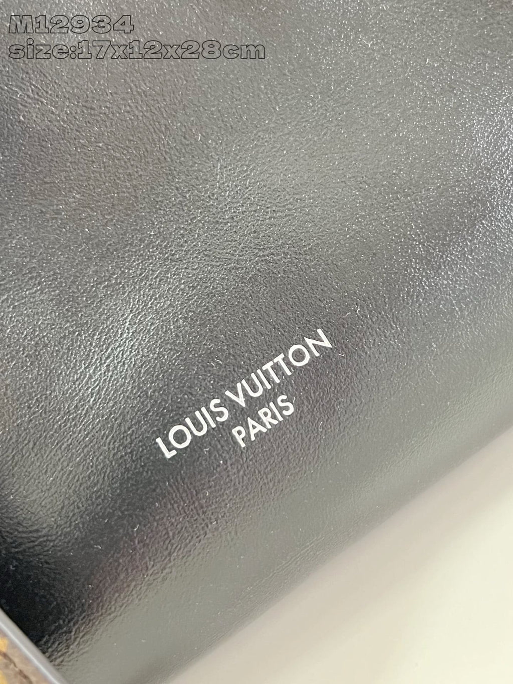 Louis Vuitton M12934 Speedy Cargo Vibe