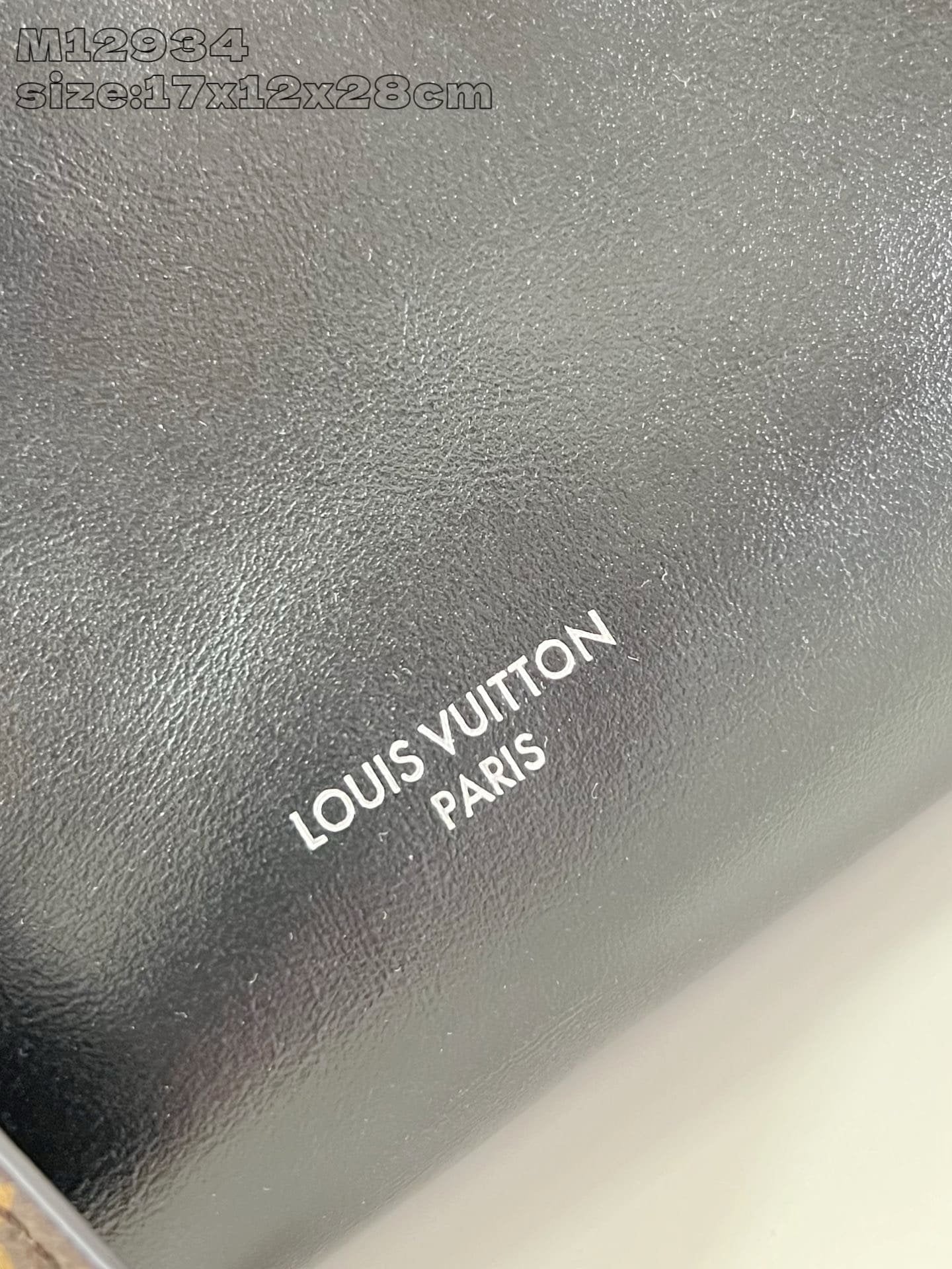 Louis Vuitton M12934 Speedy Cargo Vibe
