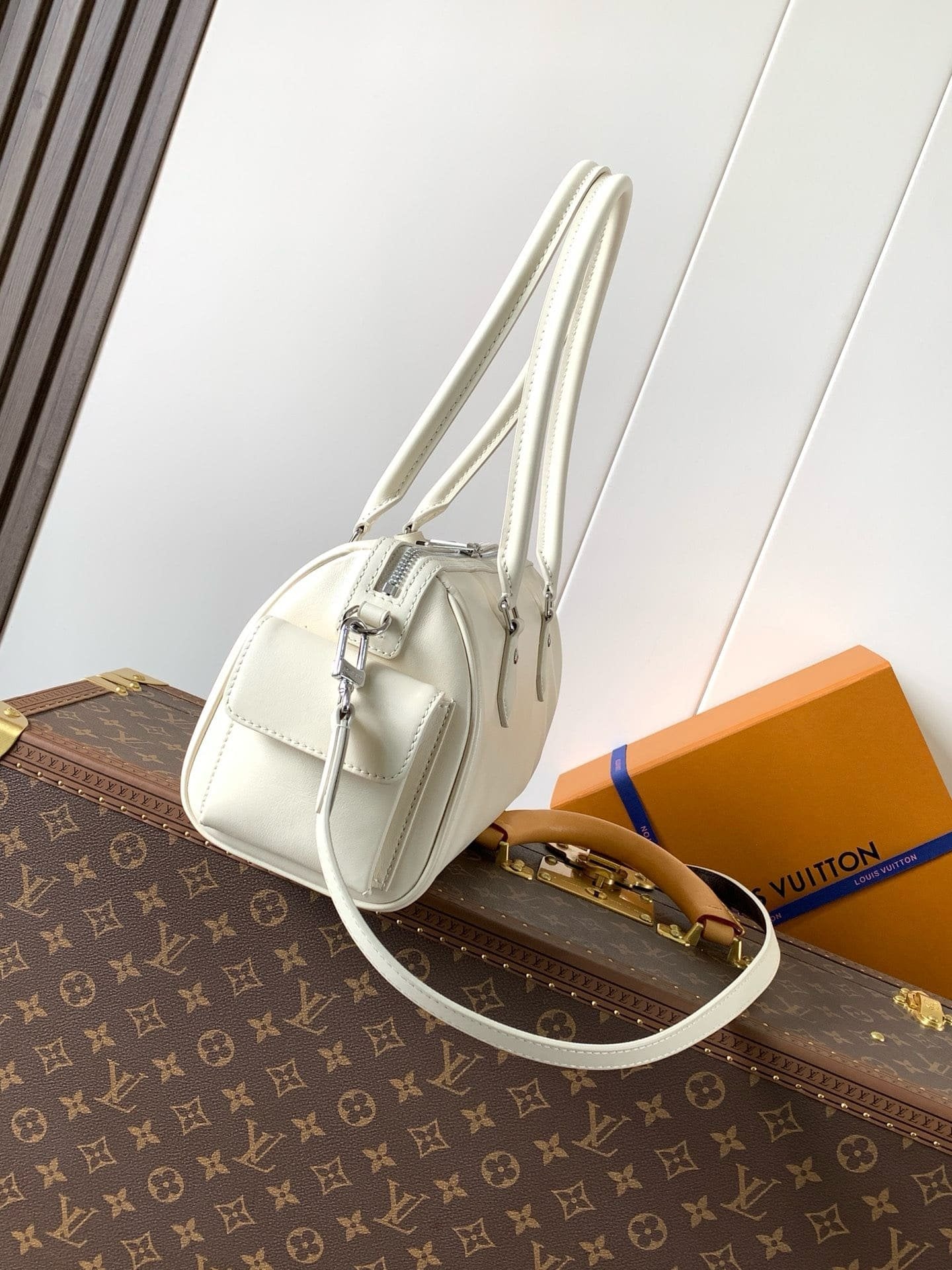 Louis Vuitton M12965 Speedy Cargo Vibe