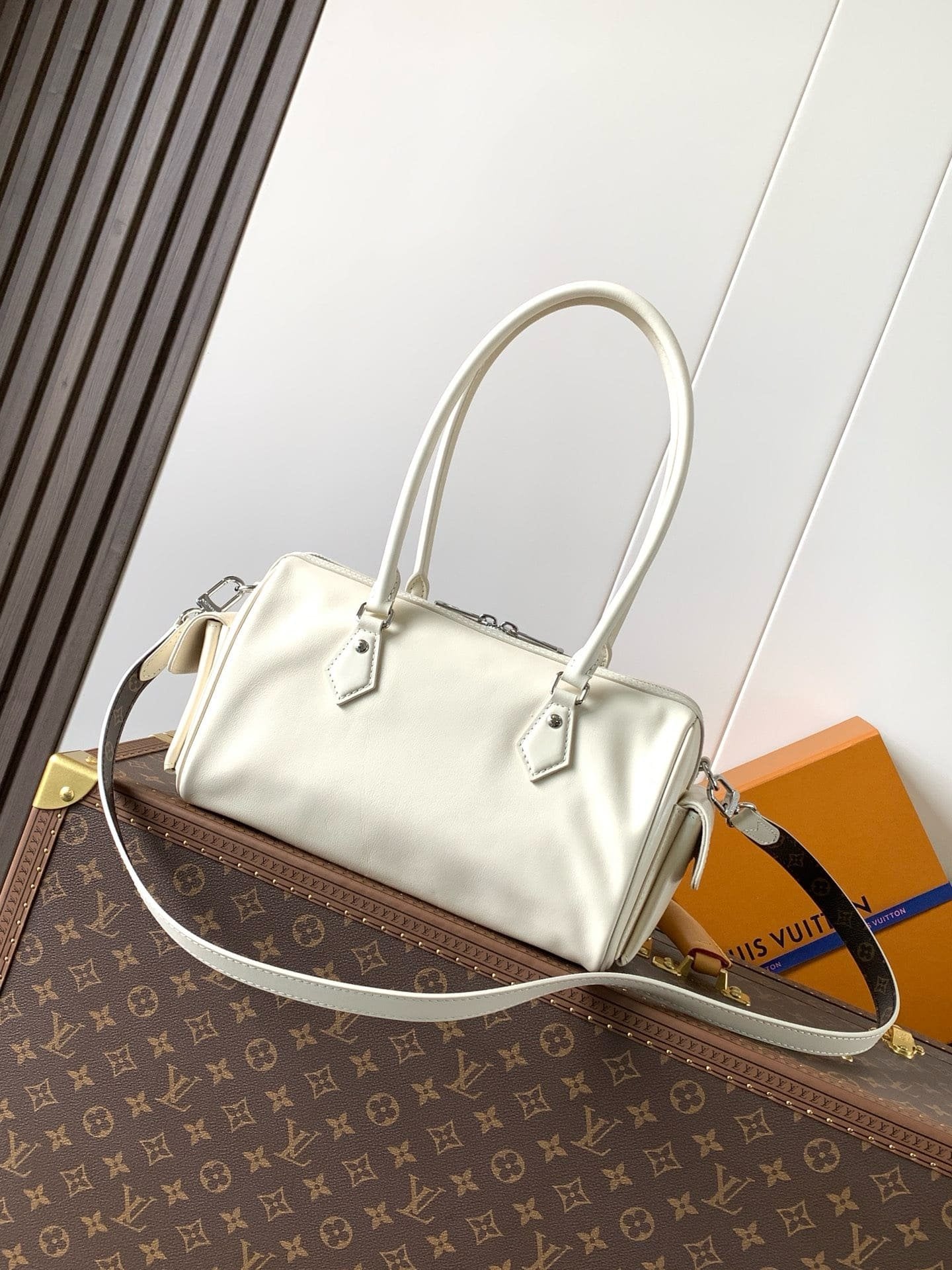 Louis Vuitton M12965 Speedy Cargo Vibe