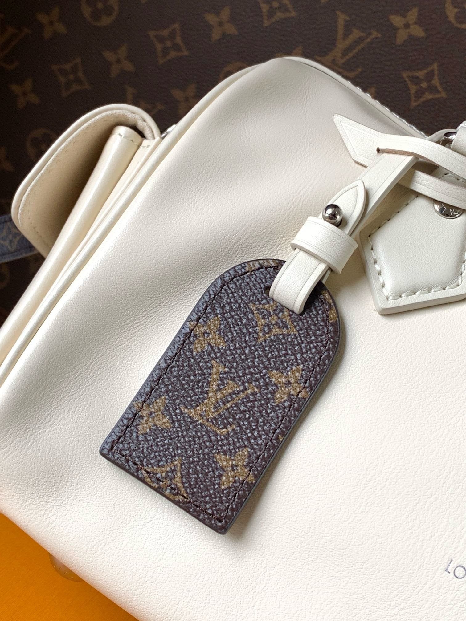 Louis Vuitton M12965 Speedy Cargo Vibe