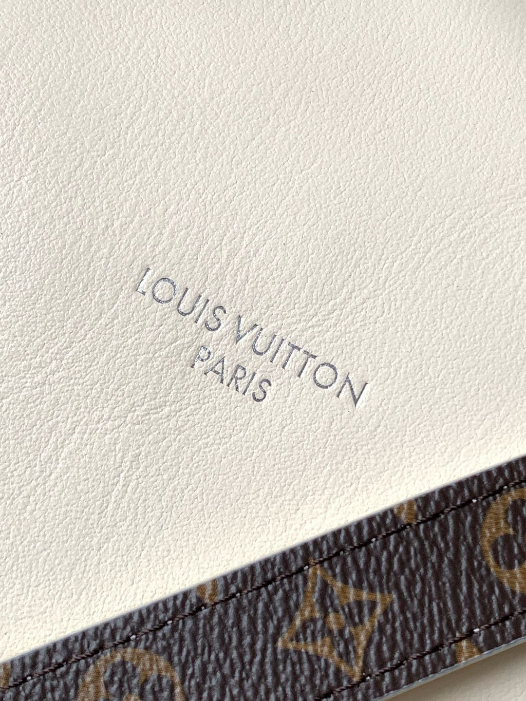 Louis Vuitton M12965 Speedy Cargo Vibe