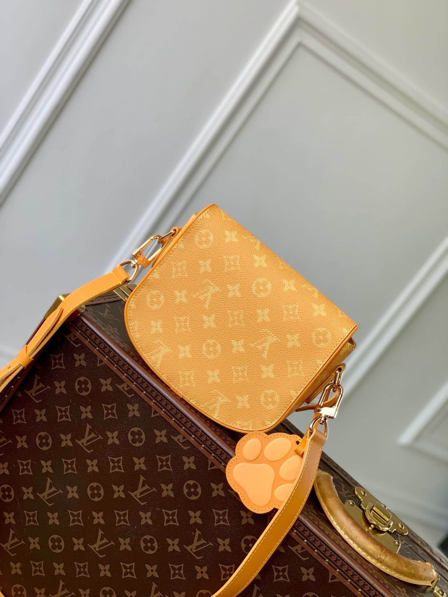 Louis Vuitton M12694 Montsouris Messenger