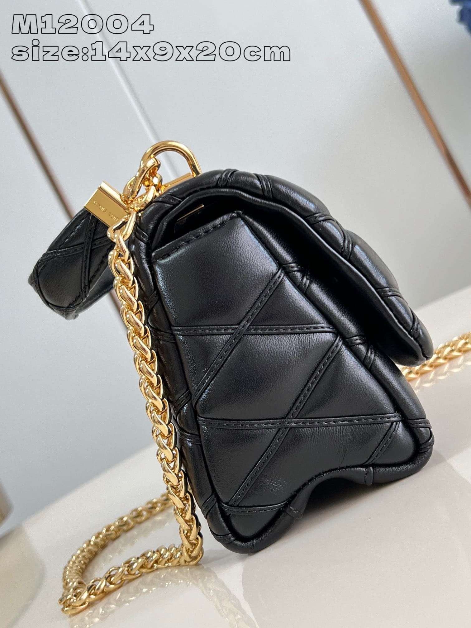Louis Vuitton M12004 GO-14 PM