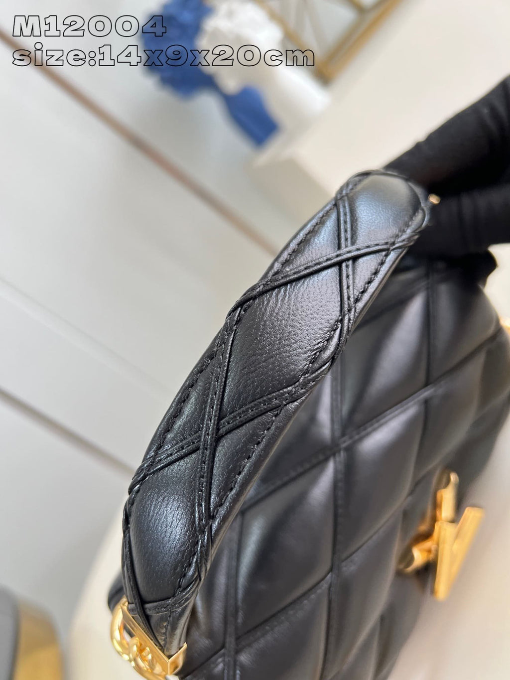 Louis Vuitton M12004 GO-14 PM