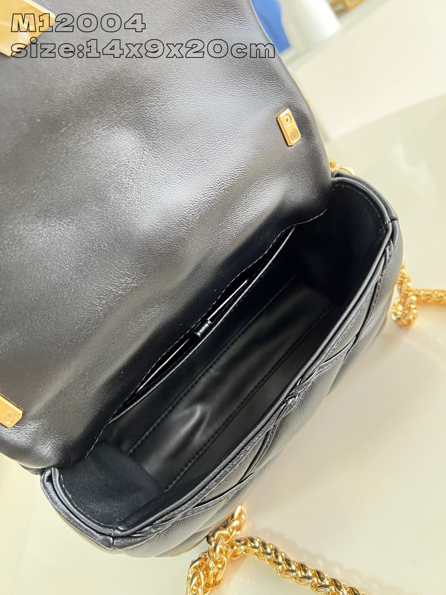 Louis Vuitton M12004 GO-14 PM