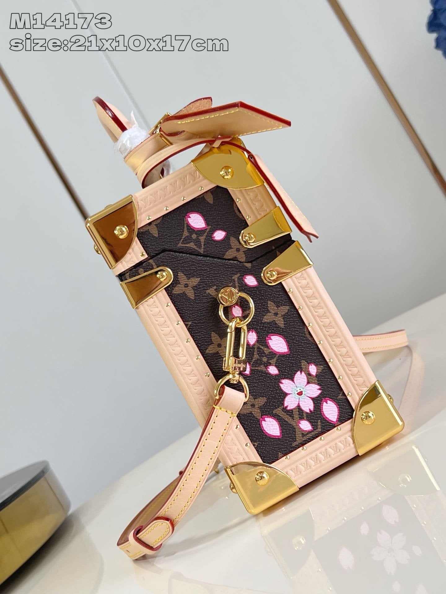 Louis Vuitton M14173 LV x TM Camera Box