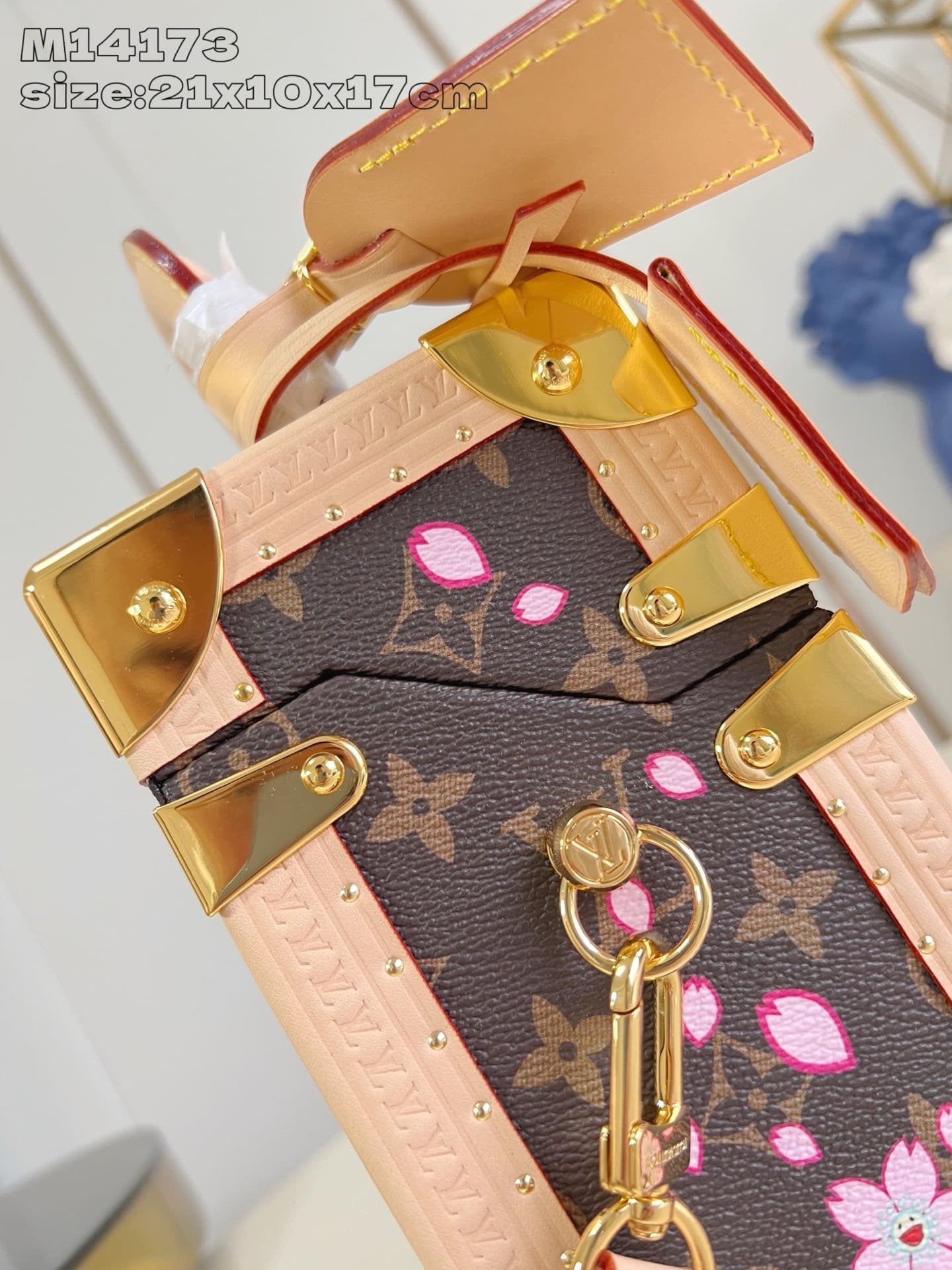 Louis Vuitton M14173 LV x TM Camera Box
