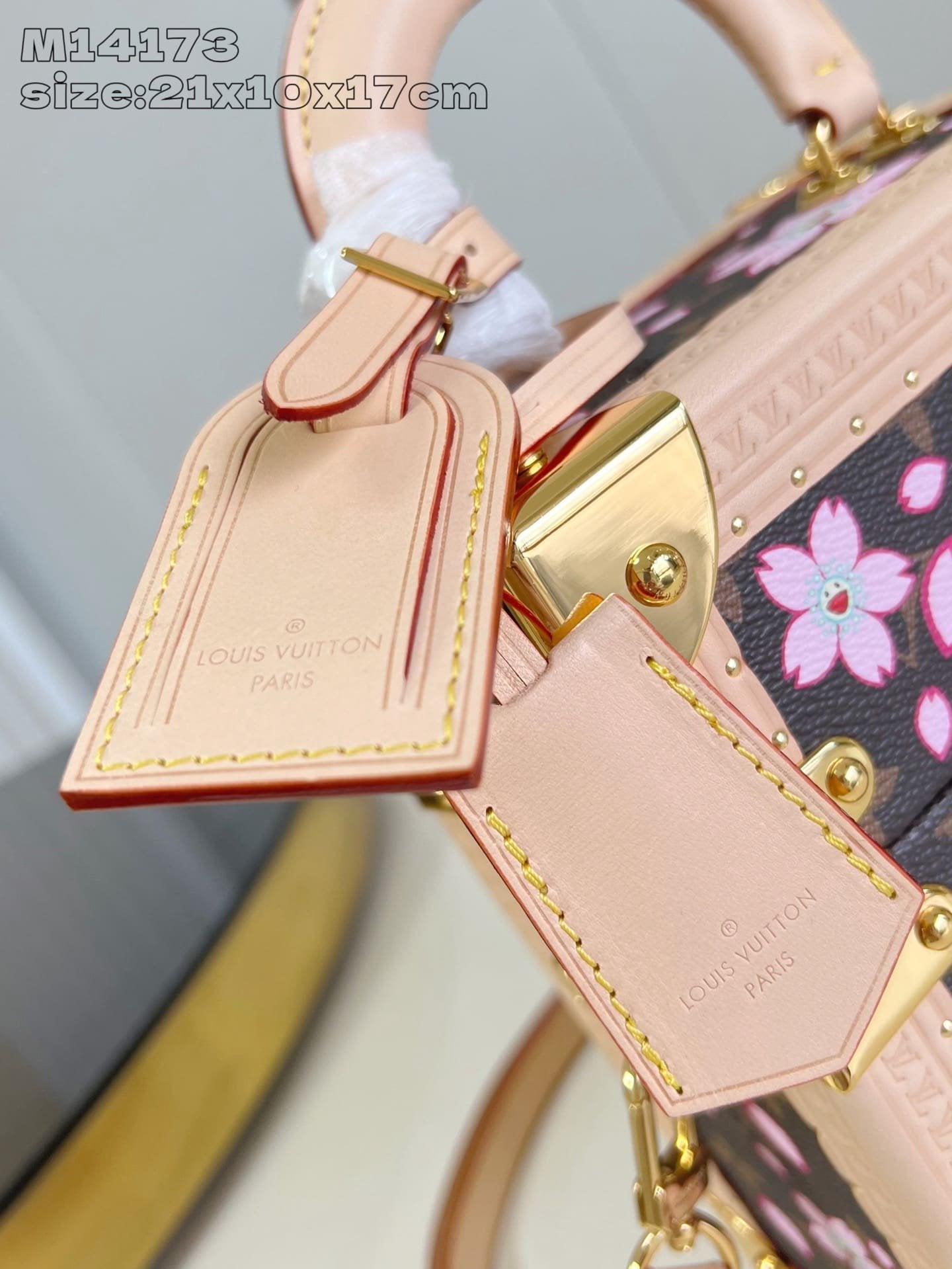 Louis Vuitton M14173 LV x TM Camera Box