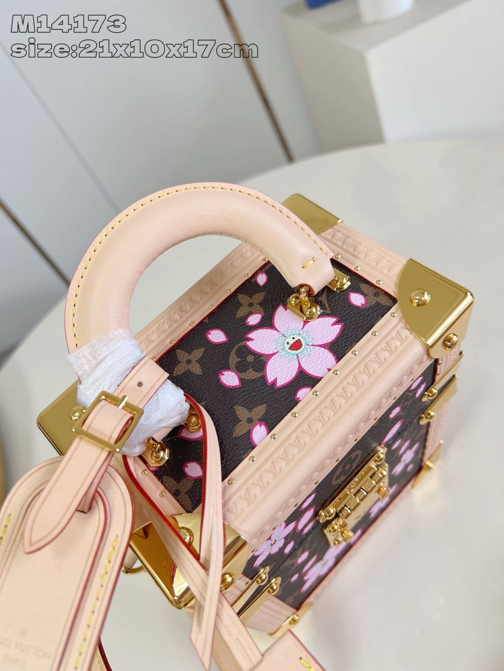 Louis Vuitton M14173 LV x TM Camera Box